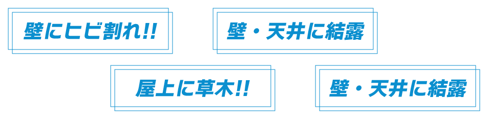 壁にヒビ割れ!!壁・天井に結露 屋上に草木!!壁・天井に結露